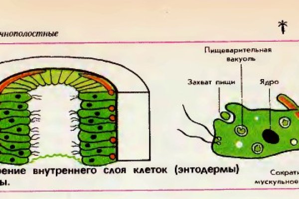 Как отличить настоящий сайт крамп