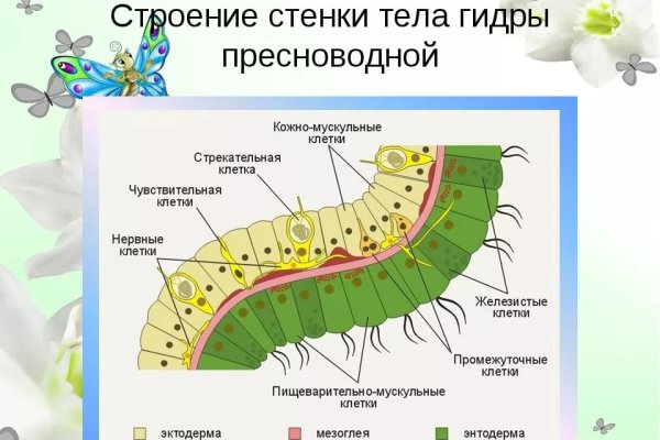 Ссылка на омг омг