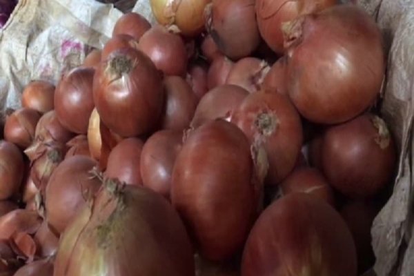 Сайты onion пароли