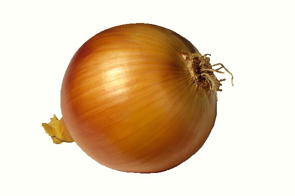 Hydra onion ссылка tor